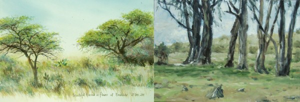 Day 6. Excelsior braai,  two different tree studies.