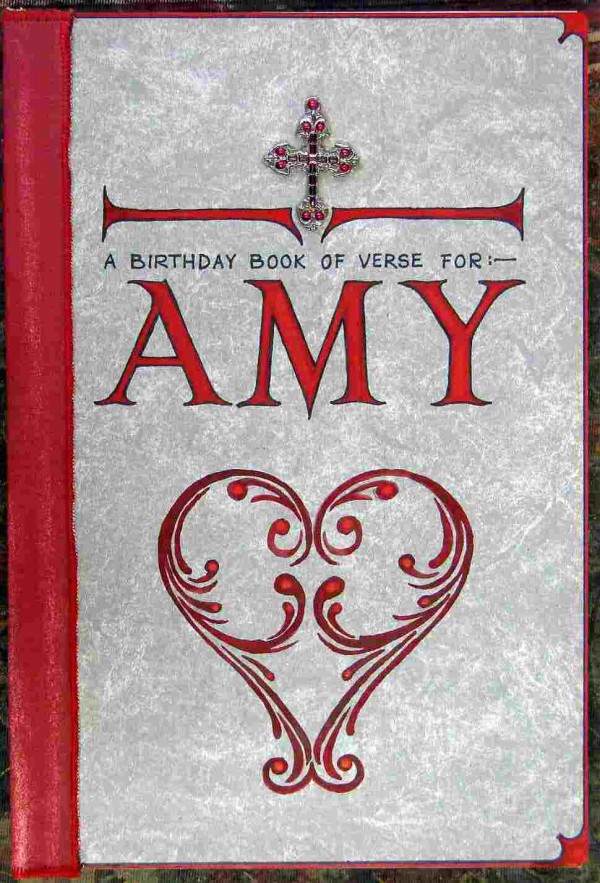 Amy's Book, cover