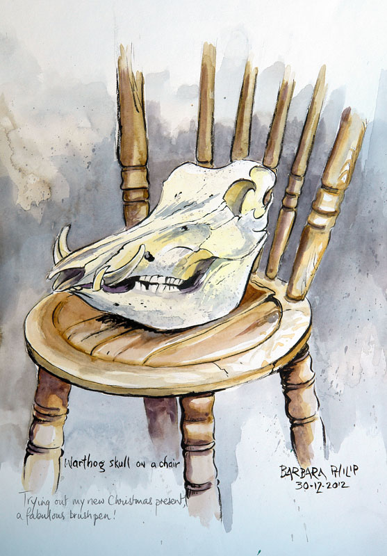 Warthog skull on a chair