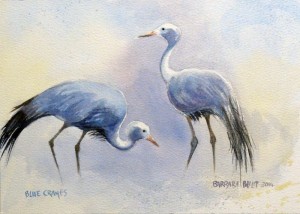Pair of Blue Cranes