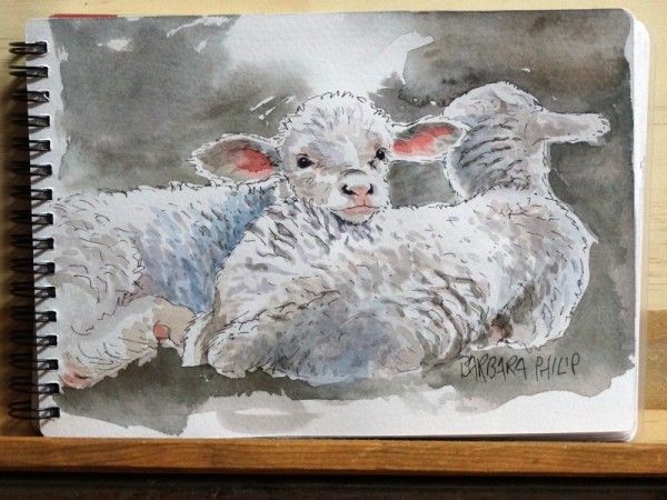 Two little Lambs