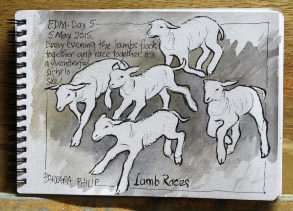 Lamb Races