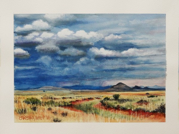 Karoo & rain clouds