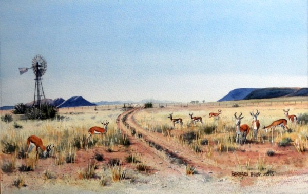 Springbuck in karoo landscape