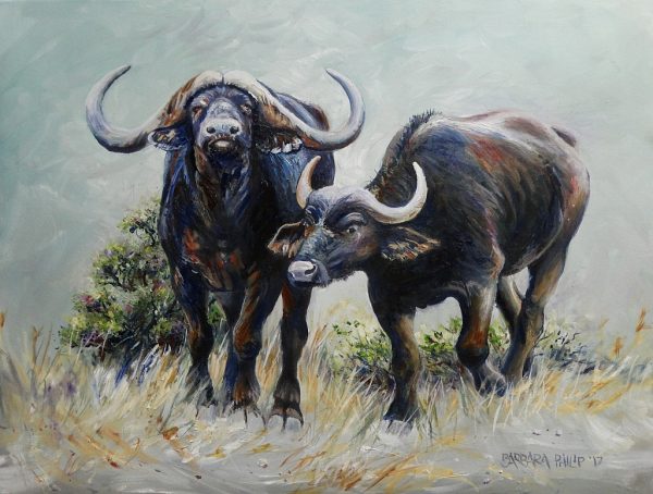 Buffalo Pair in Oils