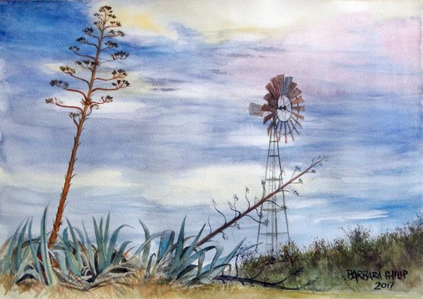 Windmill and agaves, Silvermere
