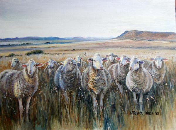 Sheep oil painting