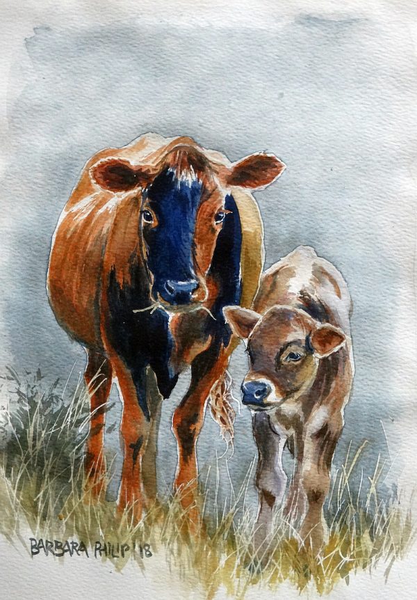 Pretty mama cow and calf