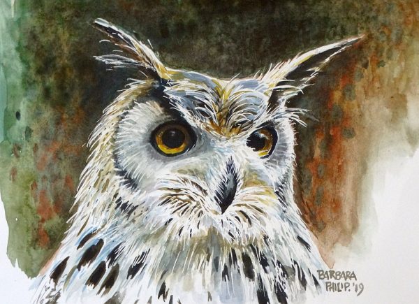 Rock Eagle Owl, 'Yukon'. Remanzacco. Italy