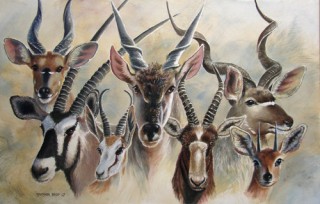 African Antelope painting