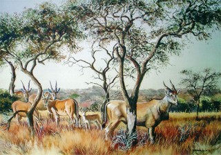 Eland painting