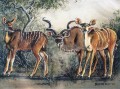 Kudu painting
