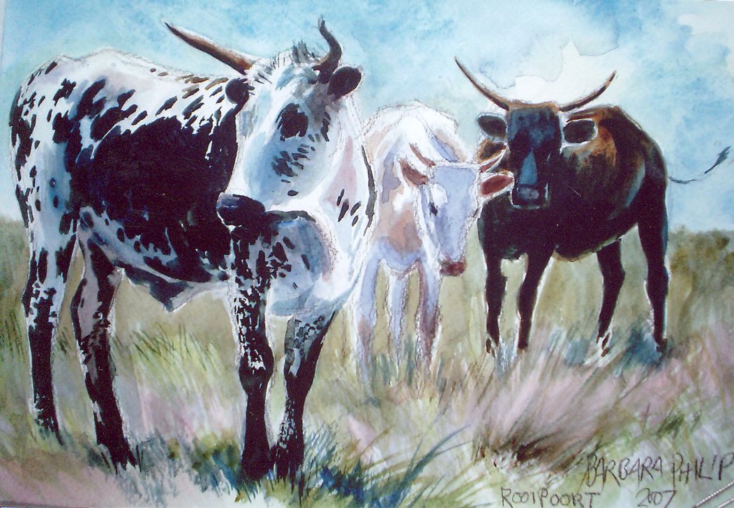 A Study of Nguni Cattle