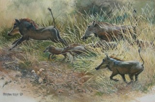 painting - Warthogs running,