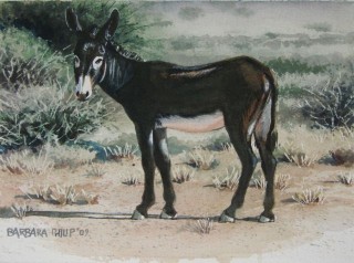 Donkey painting