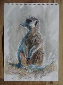 meercat painting