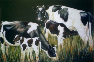Friesland Cows & calves painting