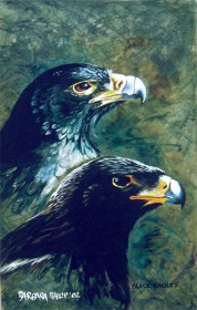 Black Eagles. painting