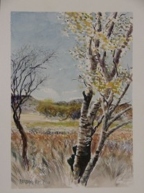 painting of Poplar tree