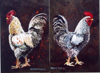 Painting of Cockerels. Koekoek.