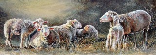 Painting of sheep. Early Morning.
