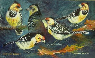 Painting of Crested Barbets