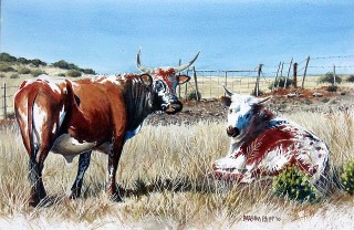 two Nguni cattle. watercolour