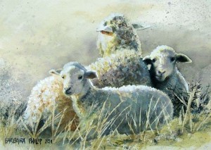 Sheep. 'Ewe with twins, cold winter morning'.