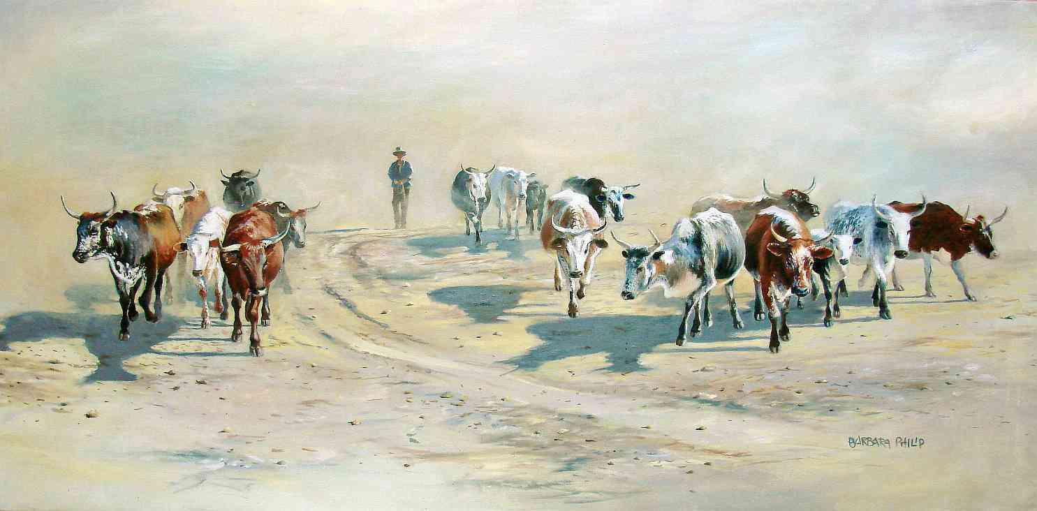 Nguni Herd Returning Home