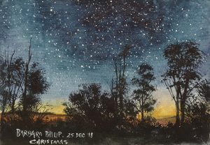 The stars at night